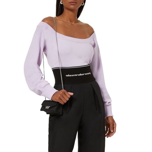 EUC ALEXANDER WANG Cropped Sheer Yoke Pullover S - Picture 1 of 12